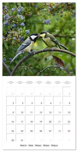 Produktbild: WILD GARDEN ANIMALS (Wall Calendar 2026 12 &times; 12 Inch) CALVENDO 12 Month Wall Calendar