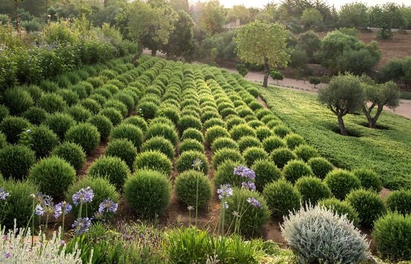 Produktbild: Moderne Gartenkonzepte