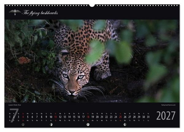 Produktbild: Botswana Blickwinkel 2027 (hochwertiger Premium Wandkalender 2027 DIN A2 quer), Kunstdruck in Hochglanz