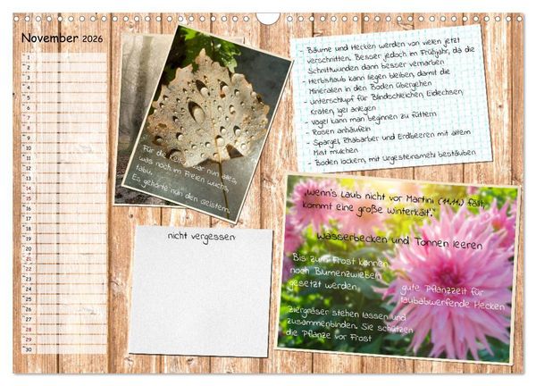 Produktbild: Was ist noch im Garten zu tun? (Wandkalender 2026 DIN A3 quer), CALVENDO Monatskalender