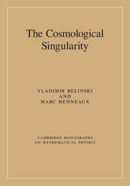 Produktbild: The Cosmological Singularity