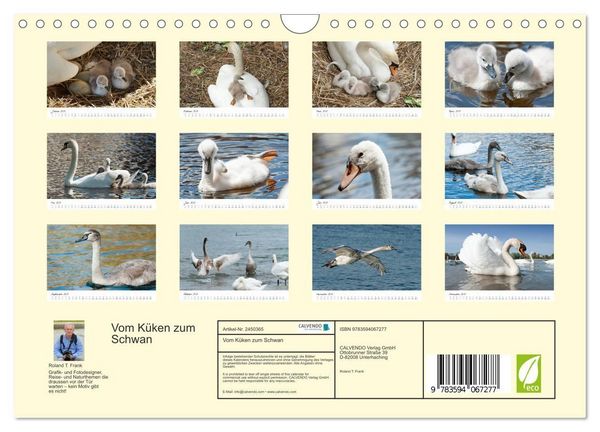 Produktbild: Vom K&uuml;ken zum Schwan (Wandkalender 2027 DIN A4 quer), CALVENDO Monatskalender