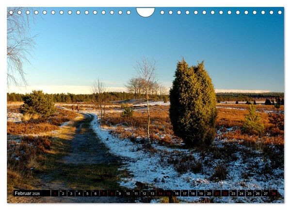 Produktbild: L&uuml;neburger Heide (Wandkalender 2026 DIN A4 quer), CALVENDO Monatskalender