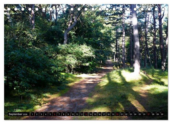 Produktbild: USEDOM - Seeb&auml;der und Naturparadies (Tischkalender 2026 DIN A5 quer), CALVENDO Monatskalender