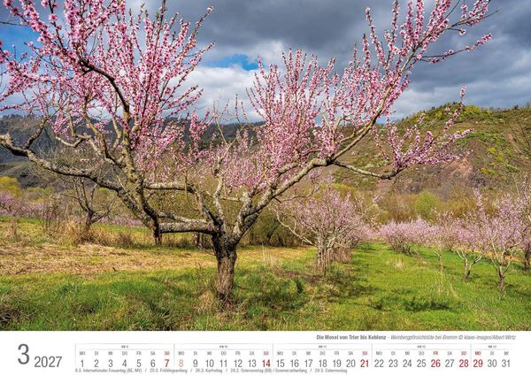Produktbild: Die Mosel von Trier bis Koblenz 2026 Bildkalender A3 Spiralbindung