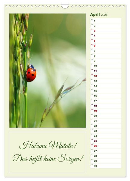 Produktbild: Marienk&auml;fer, Gl&uuml;cksbringer mit sieben Punkten (Wandkalender 2026 DIN A3 hoch), CALVENDO Monatskalender