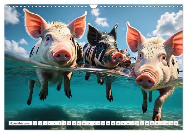 Produktbild: Schwimmende Schweine im Paradies (Wandkalender 2026 DIN A3 quer), CALVENDO Monatskalender