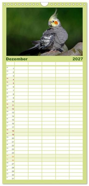 Produktbild: Familienplaner 2027 - Nymphensittiche mit 5 Spalten (Wandkalender, 21 x 45 cm) CALVENDO