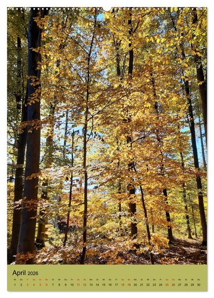 Produktbild: Momente des Herbstes (hochwertiger Premium Wandkalender 2026 DIN A2 hoch), Kunstdruck in Hochglanz