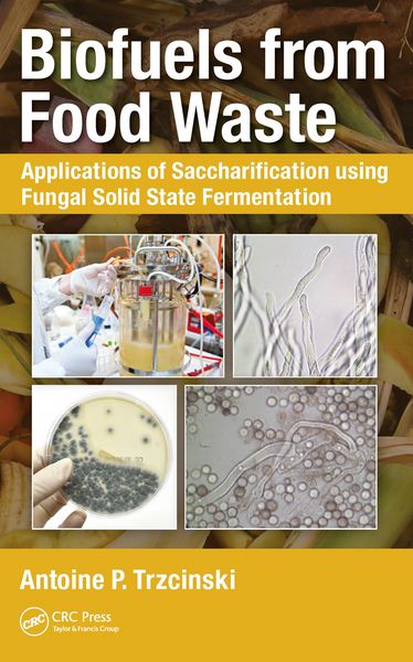 Produktbild: Biofuels from Food Waste