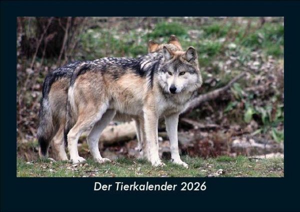 Produktbild: Der Tierkalender 2026 Fotokalender DIN A5