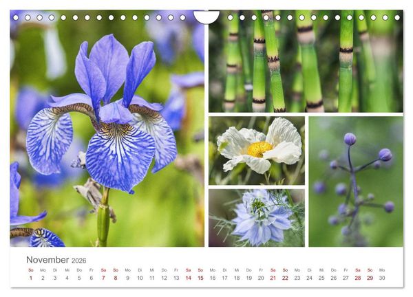 Produktbild: Ein Garten, der zum Verweilen einl&auml;dt (Wandkalender 2026 DIN A4 quer), CALVENDO Monatskalender