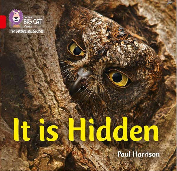 Produktbild: It is Hidden