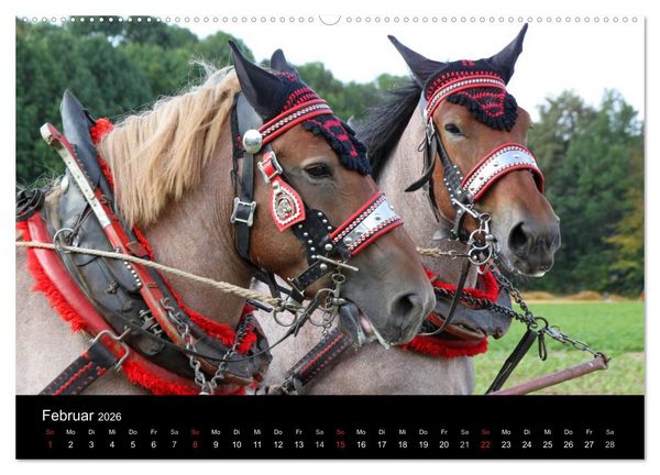 Produktbild: Starke Pferde bei der Arbeit (Wandkalender 2026 DIN A2 quer), CALVENDO Monatskalender