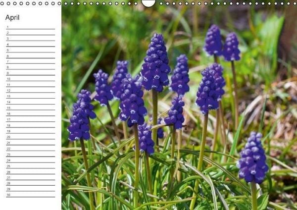 Produktbild: Ich denk an Dich ... Pers&ouml;nlicher Terminkalender (Wandkalender immerw&auml;hrend DIN A3 quer)