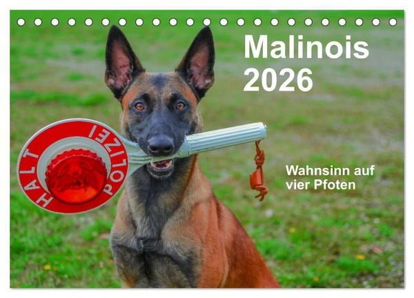 Produktbild: Malinois - Wahnsinn auf vier Pfoten (Tischkalender 2026 DIN A5 quer), CALVENDO Monatskalender