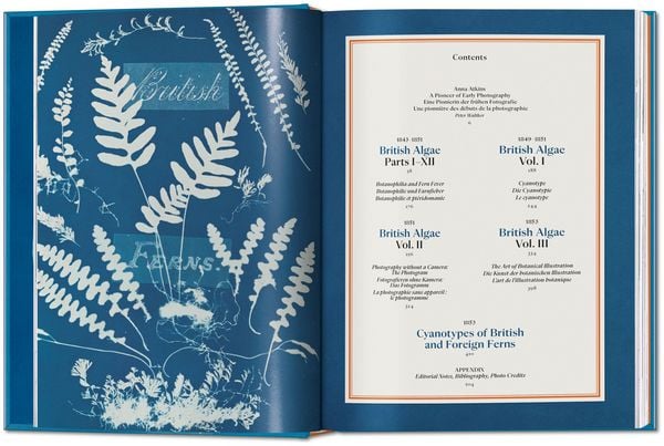 Produktbild: Anna Atkins