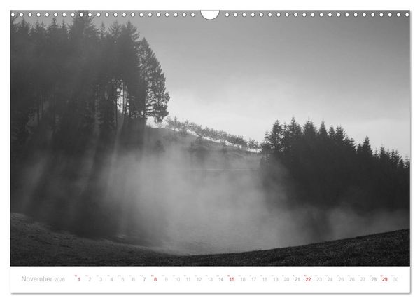 Produktbild: Mystischer Schwarzwald (Wandkalender 2026 DIN A3 quer), CALVENDO Monatskalender