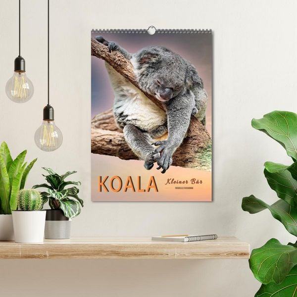 Produktbild: Koala, kleiner B&auml;r (Wandkalender 2026 DIN A3 hoch), CALVENDO Monatskalender