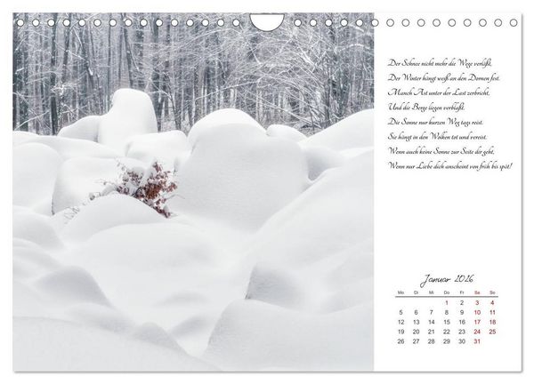 Produktbild: Max Dauthendey - Mit der Natur durchs Jahr (Wandkalender 2026 DIN A4 quer), CALVENDO Monatskalender