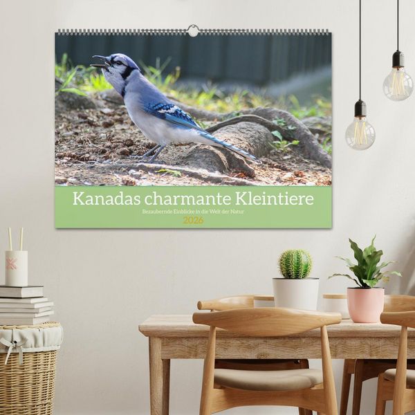 Produktbild: Kanadas charmante Kleintiere - Bezaubernde Einblicke in die Natur (Wandkalender 2026 DIN A2 quer), CALVENDO Monatskalender