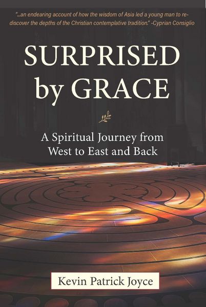 Produktbild: Surprised By Grace