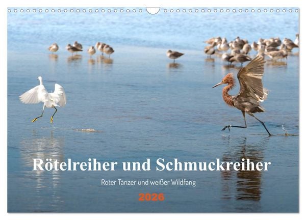 Produktbild: R&ouml;telreiher und Schmuckreiher (Wandkalender 2026 DIN A3 quer), CALVENDO Monatskalender