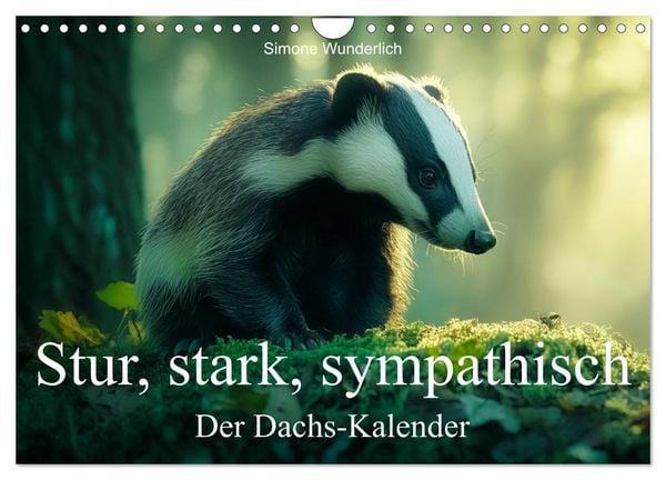 Produktbild: Stur, stark, sympathisch - Der Dachs - Kalender (Wandkalender 2026 DIN A4 quer), CALVENDO Monatskalender