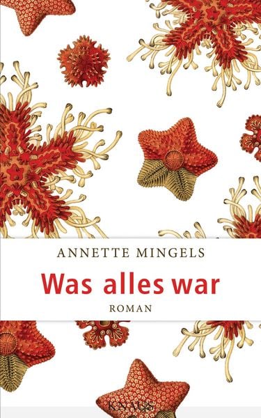 Produktbild: Was alles war