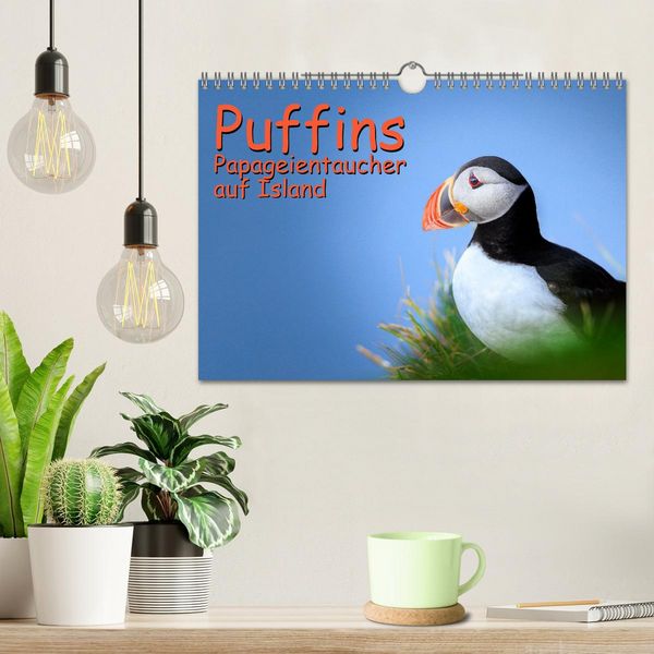 Produktbild: Puffins - Papageientaucher auf Island (Wandkalender 2026 DIN A4 quer), CALVENDO Monatskalender