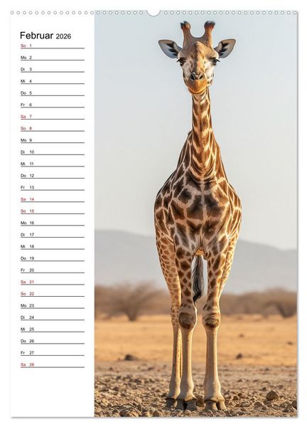 Produktbild: Ganz von vorn (hochwertiger Premium Wandkalender 2026 DIN A2 hoch), Kunstdruck in Hochglanz