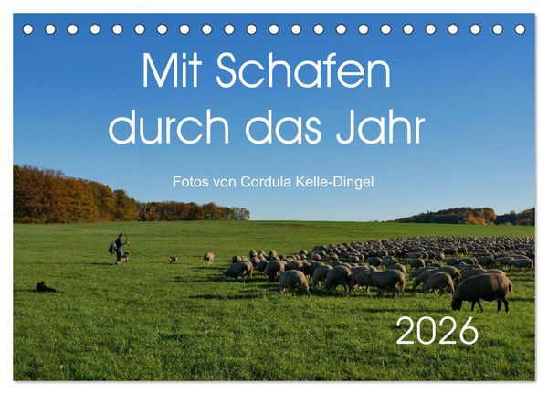 Mit Schafen durch das Jahr (Tischkalender 2026 DIN A5 quer), CALVENDO Monatskalender