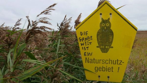 Produktbild: Vogelperspektiven (Special Edition)