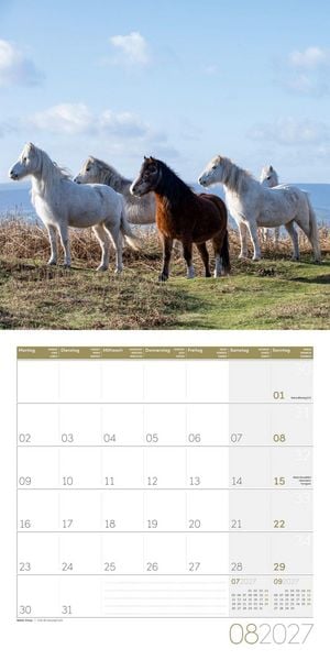 Produktbild: Pferde Kalender 2027 - 30x30 - Art12