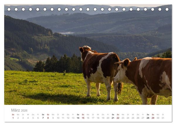 Produktbild: Sch&ouml;nes Sauerland (Tischkalender 2026 DIN A5 quer), CALVENDO Monatskalender