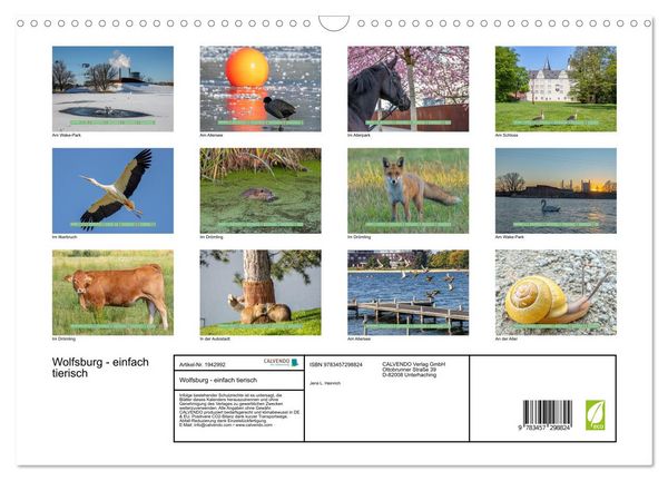 Produktbild: Wolfsburg - einfach tierisch (Wandkalender 2026 DIN A3 quer), CALVENDO Monatskalender