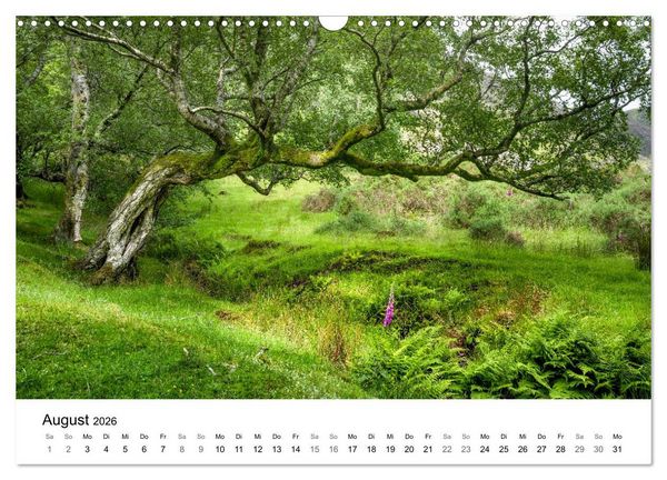 Produktbild: Wales - Eine Hommage an ber&uuml;hrende Landschaften (Wandkalender 2026 DIN A3 quer), CALVENDO Monatskalender