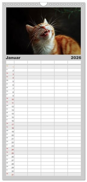 Produktbild: Familienplaner 2026 - Auch Katzen lachen gern mit 5 Spalten (Wandkalender, 21 x 45 cm) CALVENDO