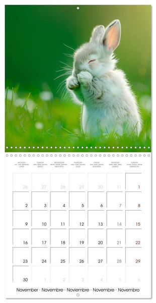 Produktbild: RABBITS Cuddly little guys (Wall Calendar 2026 12 &times; 12 Inch) CALVENDO 12 Month Wall Calendar