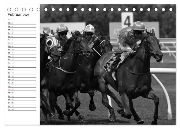 Produktbild: Leidenschaft Pferdesport - Impressionen (Tischkalender 2026 DIN A5 quer), CALVENDO Monatskalender