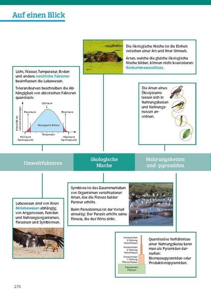 Produktbild: Klett Sicher im Abi Biologie