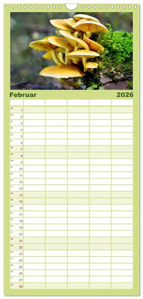 Produktbild: Familienplaner 2026 - Schwammerl Egerlinge Pilze mit 5 Spalten (Wandkalender, 21 x 45 cm) CALVENDO