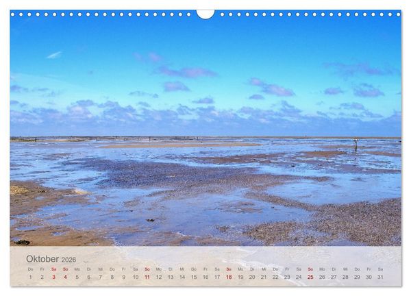 Produktbild: Salzwiesen, Schafe und Watt - Westerhever, ein Naturparadies an der Nordsee (Wandkalender 2026 DIN A3 quer), CALVENDO Monatskalender