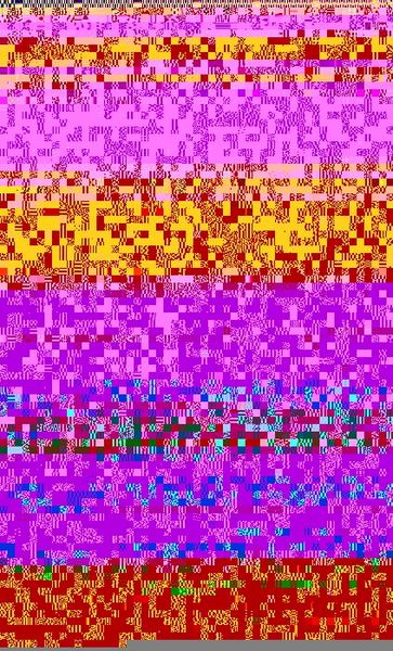 Produktbild: Languages of the Night
