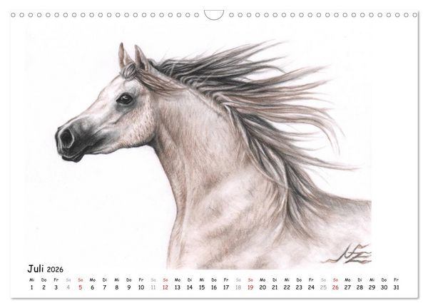 Produktbild: Arts & Horses (Wandkalender 2026 DIN A3 quer), CALVENDO Monatskalender