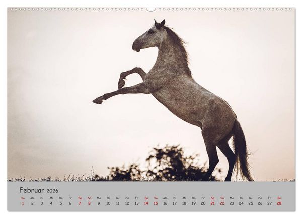 Produktbild: Spiegel deiner Seele (hochwertiger Premium Wandkalender 2026 DIN A2 quer), Kunstdruck in Hochglanz