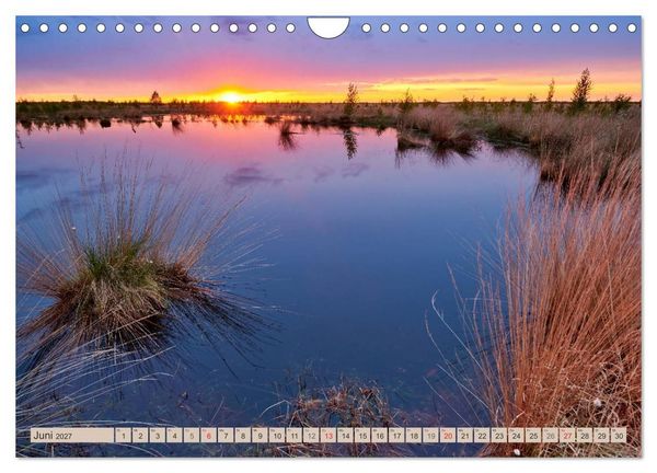 Produktbild: Deutschlands Moore (Wandkalender 2027 DIN A4 quer), CALVENDO Monatskalender