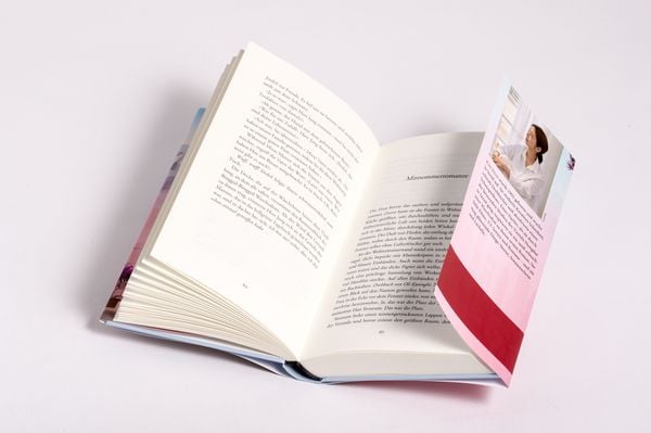 Produktbild: Das Tagebuch im Waschsalon der l&auml;chelnden Tr&auml;ume