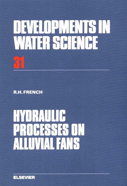 Produktbild: Hydraulic Processes on Alluvial Fans