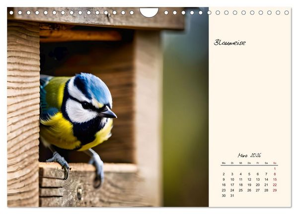 Produktbild: Meisen richtig erkennen (Wandkalender 2026 DIN A4 quer), CALVENDO Monatskalender